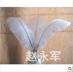supply high quality imported ostrich feather strip 15-70cm stage decoration feather