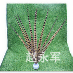 Factory Direct Sales Natural Pheasant Tail 45-50 Beijing Opera Pheasant Tail Feathers Pheasant Feather Pheasant Tail Pheasant Feather