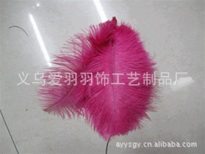 wholesale imported ostrich feather with ostrich feather strip applicable stage performance supplies