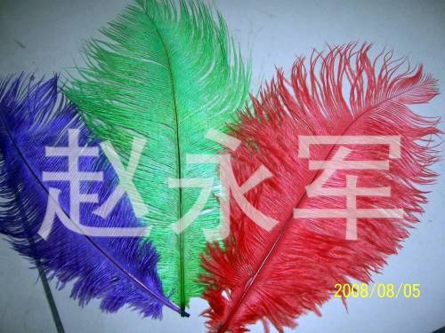 excellent quality dyeing large ostrich feather ostrich hair bleaching ostrich feather various specifications conventional color spot supply