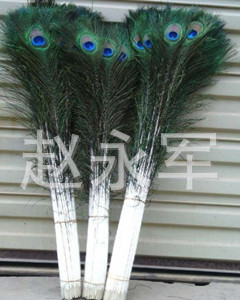 High Quality Peacock Feather Flower Arrangement Decorative Feather Spot Size Wholesale 80-90cm