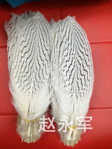 Silver Chicken Pointed Hair Arrow Hair Natural Pattern Hat Clothing Accessories Carnival Feather Indian an Headdress Accessories Feather