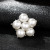 Accessories mini pearl brooch wedding brooch small collar-button brooch jewelry brooch wholesale