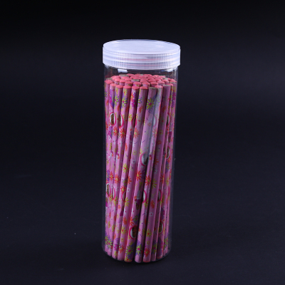 Plastic Straw Dispensers-storage/pencil Holder 