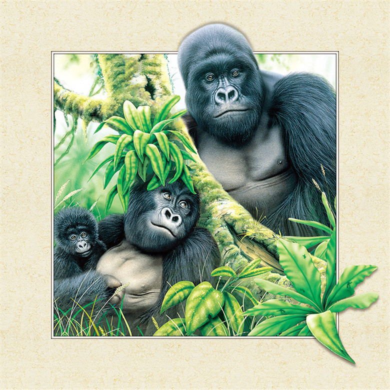 厂家直销高清5d立体画批发 3d立体画 三维立体 马狼 迎来样定制