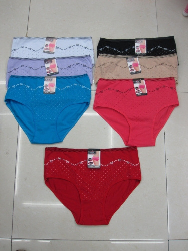 Distributor of sorex ladies underwear
