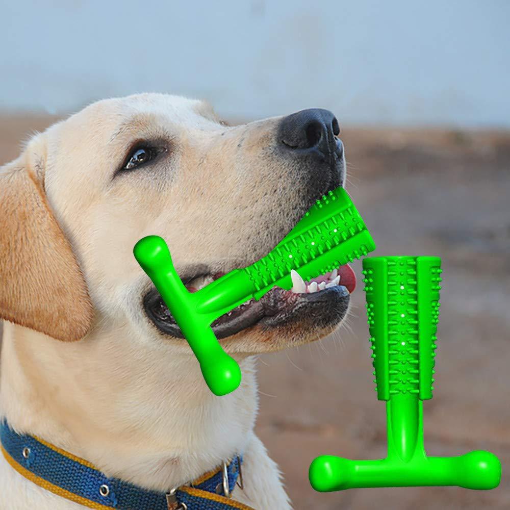 comfy bear dog toothbrush toy