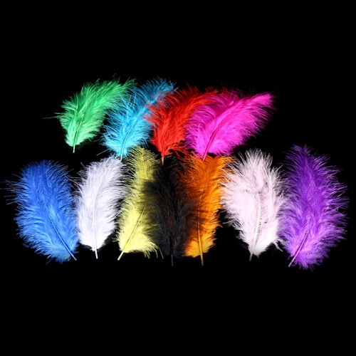 Pointed Tail Velvet Feather Turkey Feather Full Fluff DIY Earrings Necklace Ornament Accessories Small Feather Factory Wholesale 