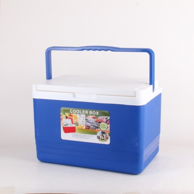 Supply 5L 11L insulation and cold storage box is convenient and