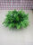 Persian leaves a bunch of 5 - headed wind-up grass jellies emulated flower leaves leaves plant leaves