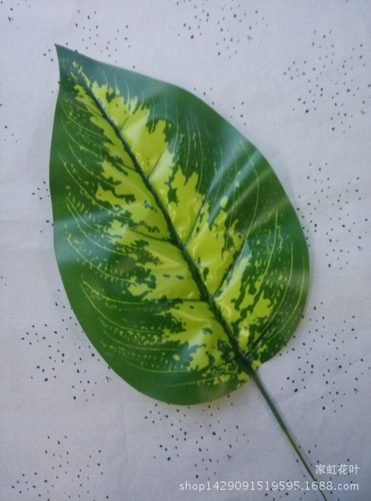 手感胶布小万年青叶 仿真花叶树叶植物叶jh-w-03r