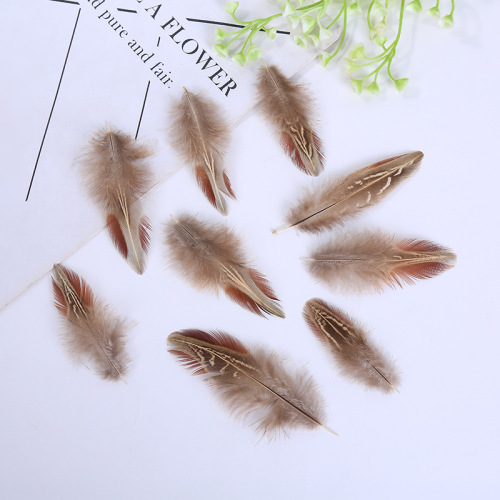Factory Direct Sales Natural High Quality Pheasant Feather Ornament Accessories Feather Handicraft Toy Decoration Clothing Materials Wholesale