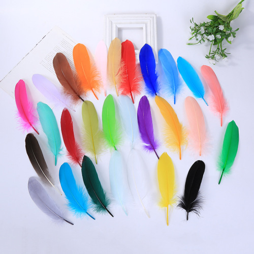 Factory Direct Sales High Quality Swan Hair DIY Color Hard Floating Feather Stage Clothing Decoration Accessories Feather Wholesale 