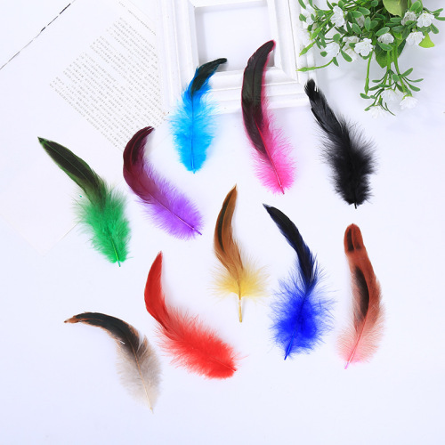 factory direct sales high quality dyed pheasant feather purple swimming diy colored feather handmade ornament feather ornaments wholesale
