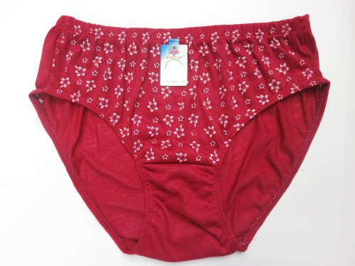 Women‘s Underwear Polyester Cotton Printed Mixed Color Briefs Stall Foreign Trade Wholesale