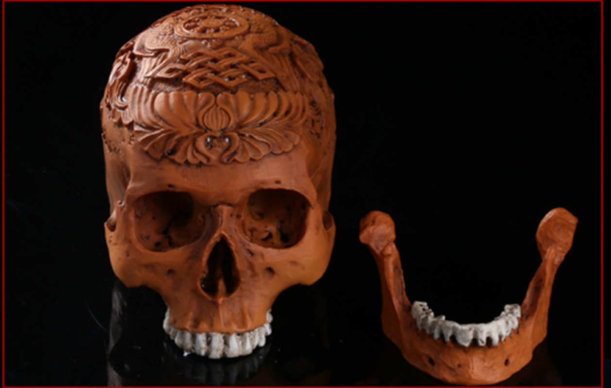 gaba skulls halloween skull handicraft set out model 111