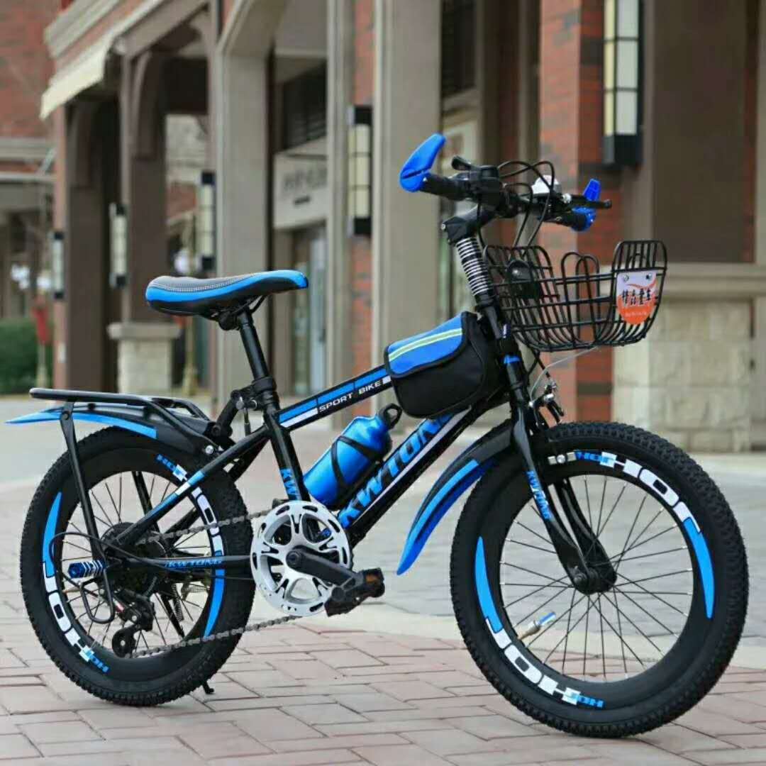 bike with buggy