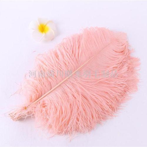 Factory Direct Sales Wholesale Ostrich Feather Sizes Vary