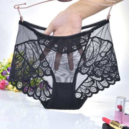 Sexy Lace Mesh Mid-Waist Briefs Women‘s Underwear