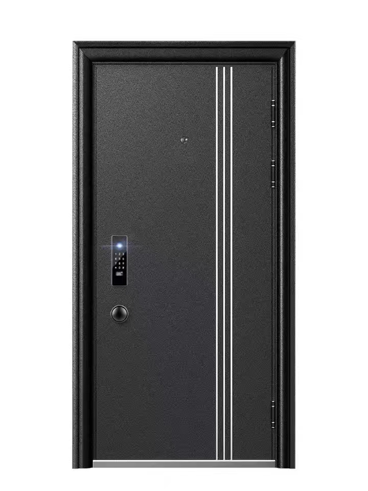 新款防盗门 铁门 大门