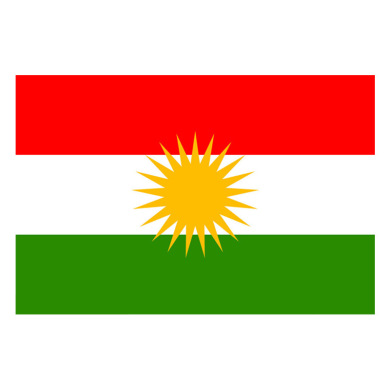 厂家直销8号14*21cm库尔德手摇国旗  世界各国国旗 定做旗帜