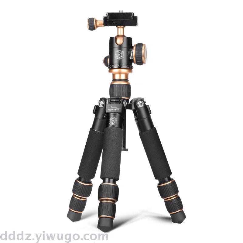 best cameras for macro photography best cameras for macro photography