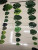 Turtle back leaf various turtle back leaf series meal mat atmosphere articles for home furnishing ins