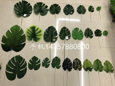 Turtle back leaf various turtle back leaf series meal mat atmosphere articles for home furnishing ins