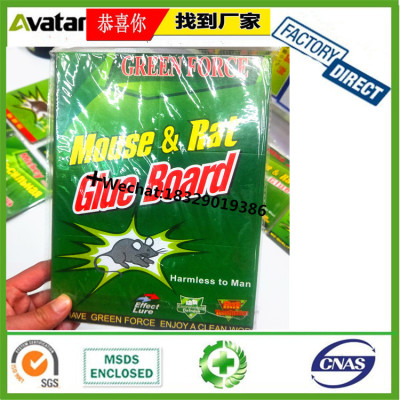 Rat Traps China Trade,Buy China Direct From Rat Traps Factories at