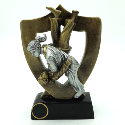 Taekwondo Martial Arts Trophy Resin Plastic Metal Crafts award Trophy Souvenir Medal