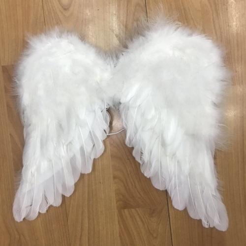 Factory Direct Sales Feather Angel Wings Children‘s Performance Dance 