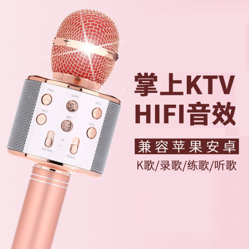 Mobile Phone KTV Microphone Microphone Audio Microphone Gadget for Singing Songs Capacitor Live Broadcast Bluetooth Wireless Microphone 858 Series