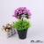 Decoration decoration sitting room potted table beautification home decoration in two-color five-flower decoration flowers home decoration decoration decoration decoration decoration