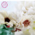 Jia orchid ring han version sen female garland hair ornaments bride wedding photo shoot seaside holiday accessories