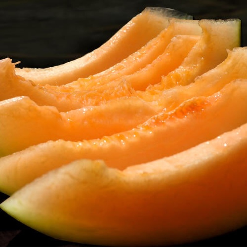 绿网纹果肉橘红色甜瓜 f1 muskmelon 全生育期105天