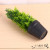 Nordic Ins Simulation Plant Decorative Creative Small Ornaments Living Room Desktop Potted Home Indoor Fake Green Plant Bonsai