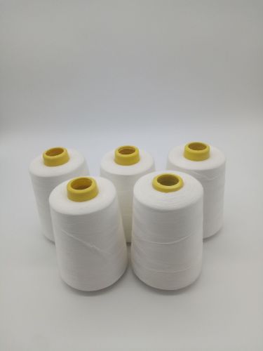 2019 Best-Selling Item 402 Polyester High Quality White Net 180G 8000y Cotton Sewing Thread on Cone Jiangsu， Zhejiang and Shanghai One Piece Free Shipping