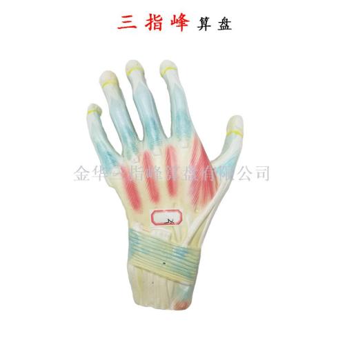 RS-8177 Palm Model Hand Joint Muscle Anatomy Model Teaching Teaching Mold Hand Specimen Three-Finger Peak