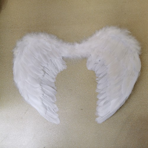 Wing feathers, white angel wings, lace angel wings, pink wings