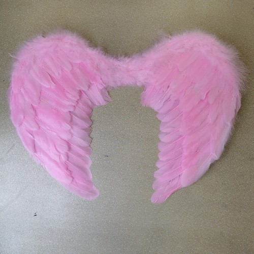 Wing feathers, white angel wings, lace angel wings, pink wings