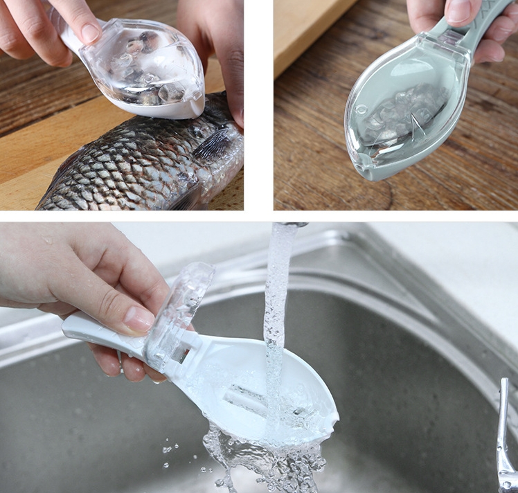 Kitchen fish scale scaler manual scaling tool