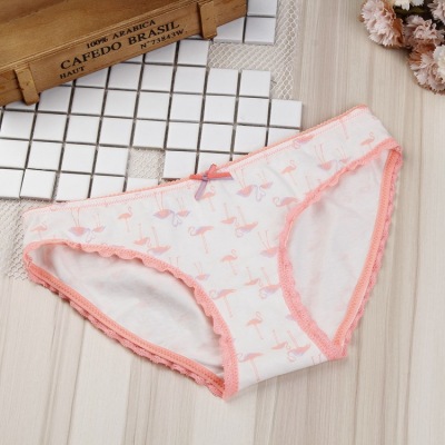 Underwear.8703.MAGIC PINK comfortable cotton panties.  manufacturers wholesale lady's brief