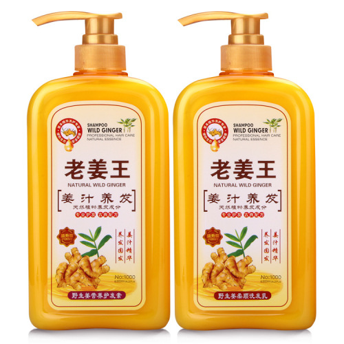 Wholesale New Ginger Shampoo Ginger Juice Oil Control Anti-Dandruff Shampoo Shampoo Hair Conditioner Wash and Care