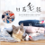 Pet blanket dog blanket soft flannel kennel pad cat and dog cartoon pattern blanket sheet