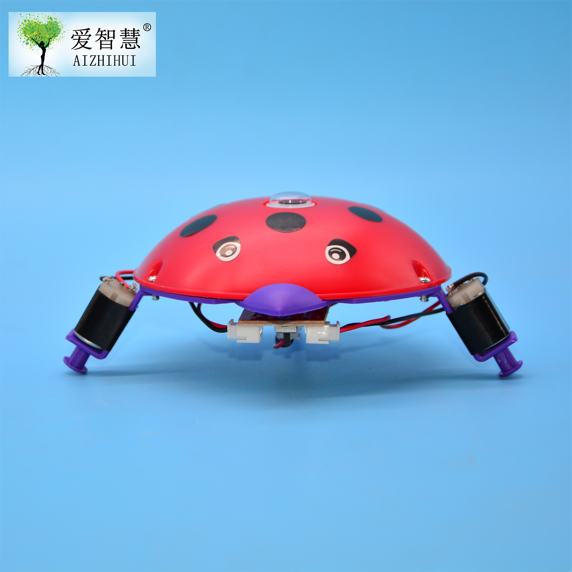 电动小乌龟 STEM科学实验室 学习DIY并联电路知识 科技小制作发明