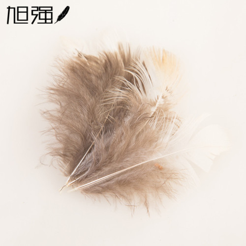 factory direct sales pheasant feather material tail stop cocktail feather feather spot supply