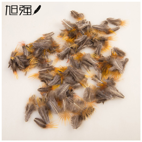 factory supply feather craft/pheasant feather/ornament feather yellow slices/ground chicken yellow slices