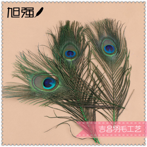 factory direct sales spot supply 25-30cm peacock fur feather ornaments headdress high quality peacock feather