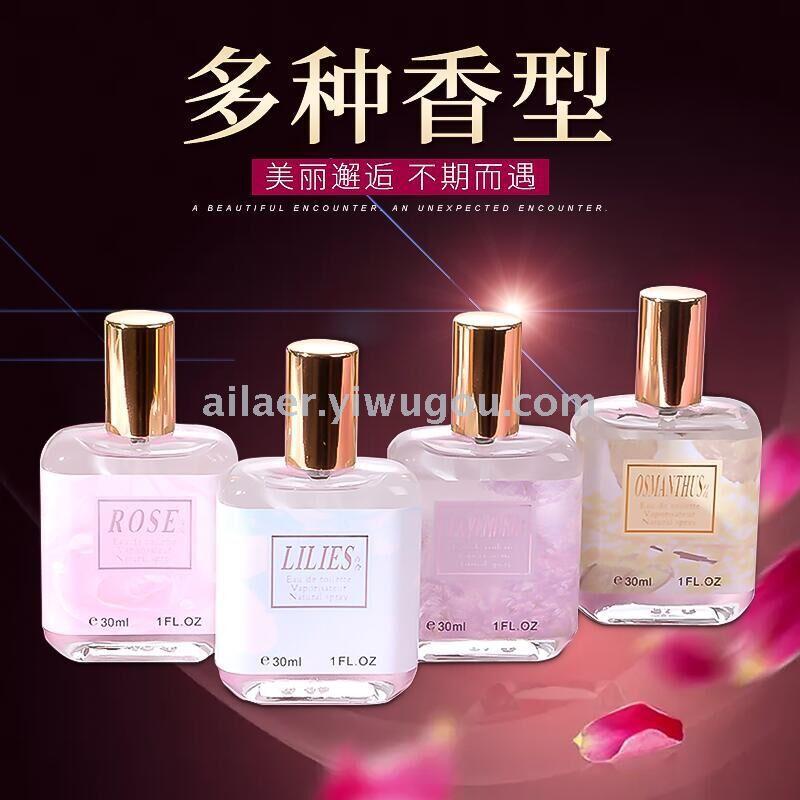 perfume web