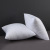 Manufacturers direct pillow core PP cotton core pillow core sofa pillow core cushion core 50*50